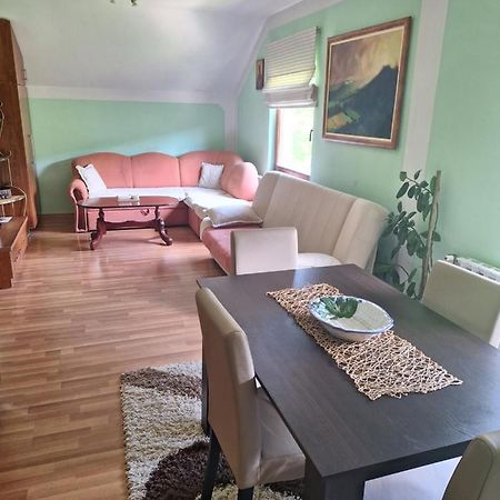 Apartman Sara Pale - Ski Centar Ravna Planina Εξωτερικό φωτογραφία