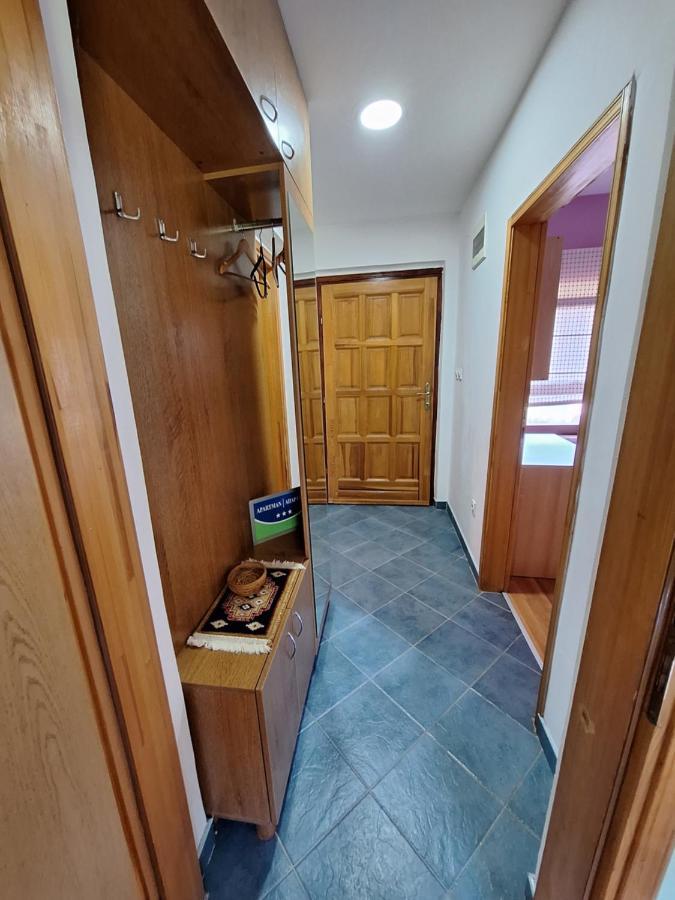 Apartman Sara Pale - Ski Centar Ravna Planina Εξωτερικό φωτογραφία