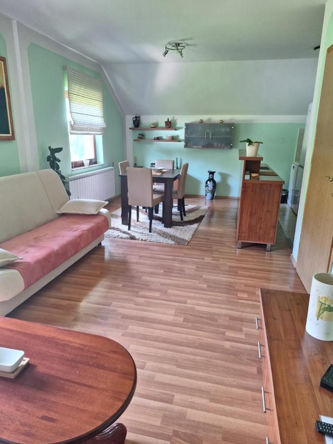 Apartman Sara Pale - Ski Centar Ravna Planina Εξωτερικό φωτογραφία