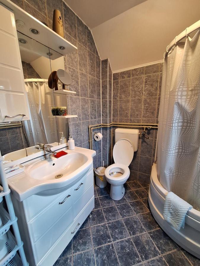 Apartman Sara Pale - Ski Centar Ravna Planina Εξωτερικό φωτογραφία