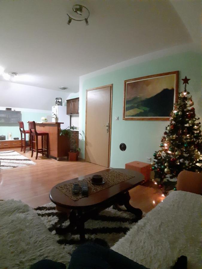 Apartman Sara Pale - Ski Centar Ravna Planina Εξωτερικό φωτογραφία
